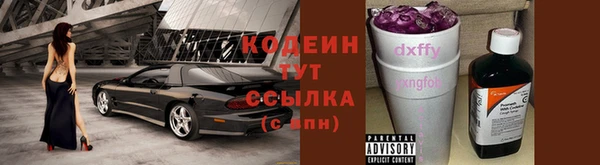 гашик Богородск