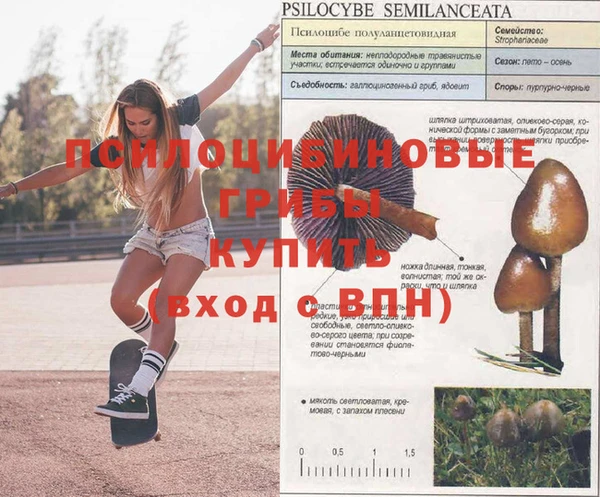 гашик Богородск