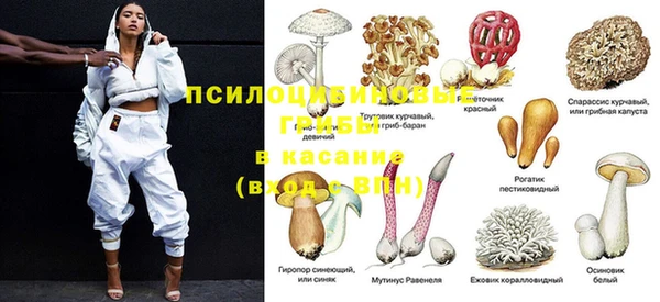 jwh Богородицк