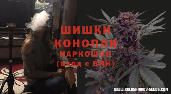 гидра Баксан