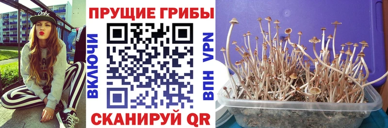 Галлюциногенные грибы мицелий  наркота  Вуктыл 